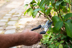 BLACK+DECKER TUINGEREEDSCHAPSET 4-DELIG - Tuincentrum Lopik