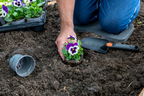 BLACK+DECKER TUINGEREEDSCHAPSET 4-DELIG - Tuincentrum Lopik