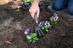 BLACK+DECKER TUINGEREEDSCHAPSET 4-DELIG - Tuincentrum Lopik