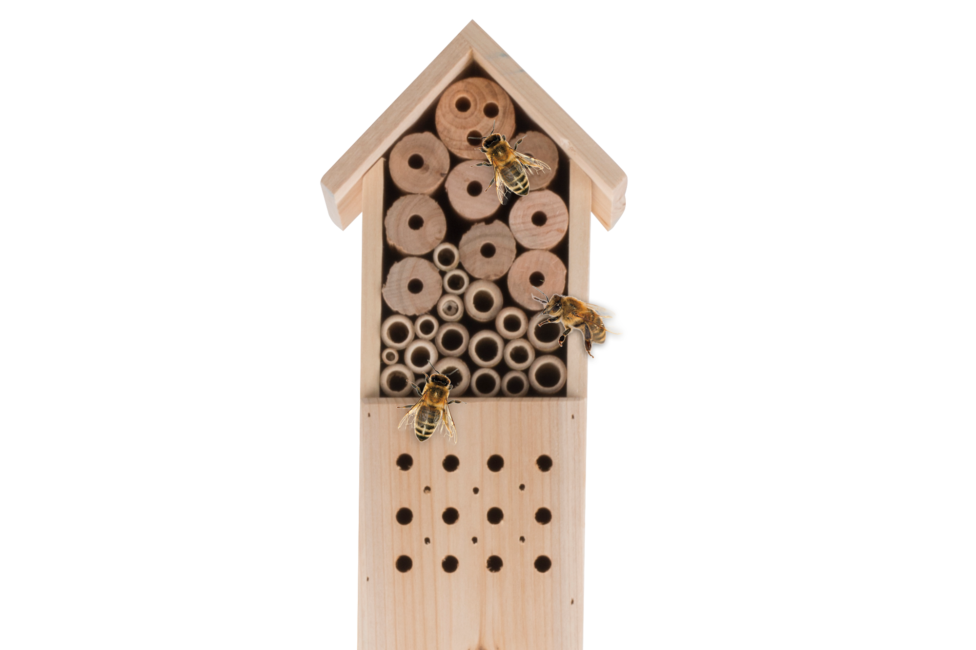 Insect Hotel 160X14,5X10Cm