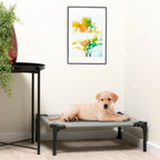 Pet Bed Elevated Small