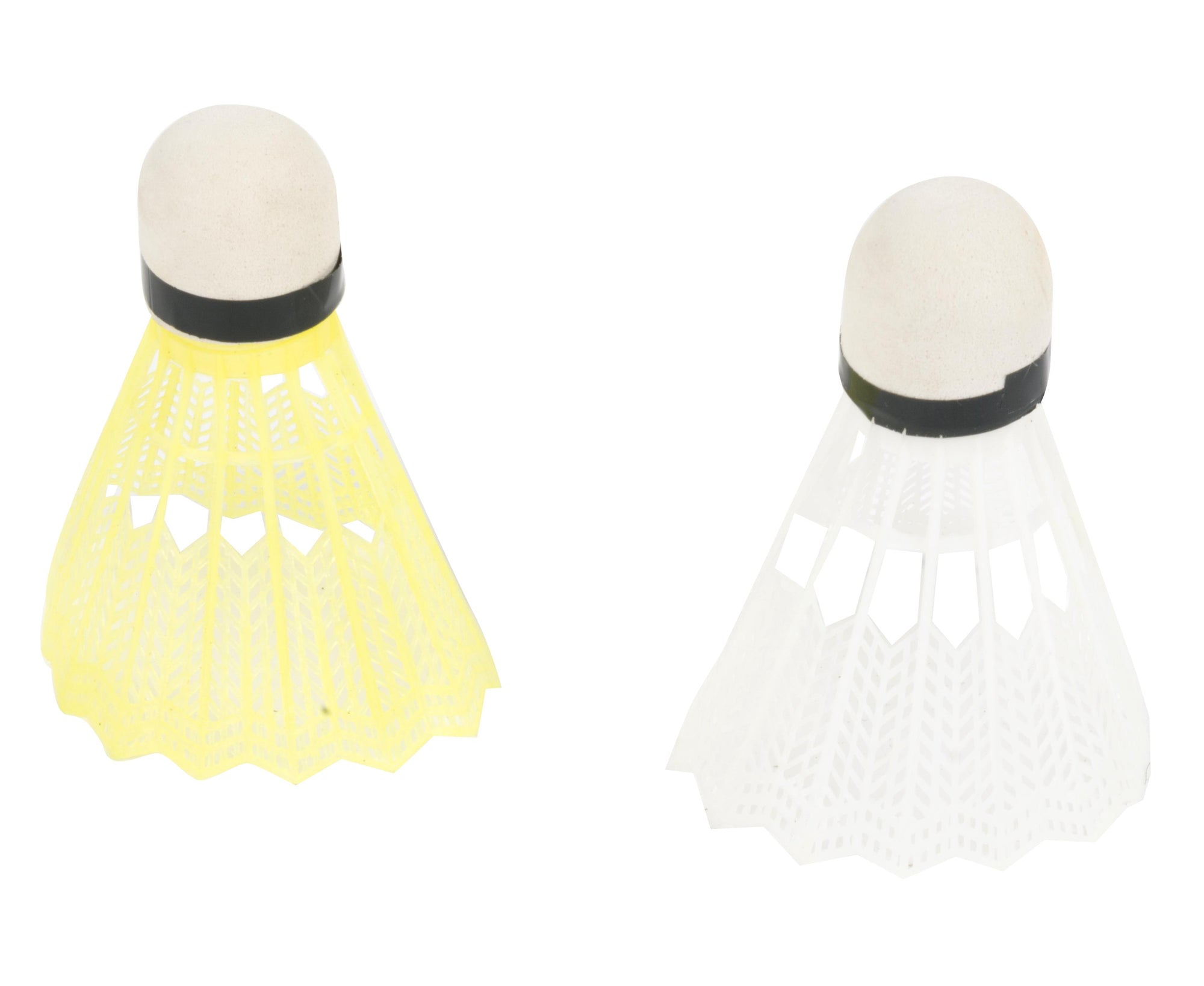 Volleyball & Badminton Set