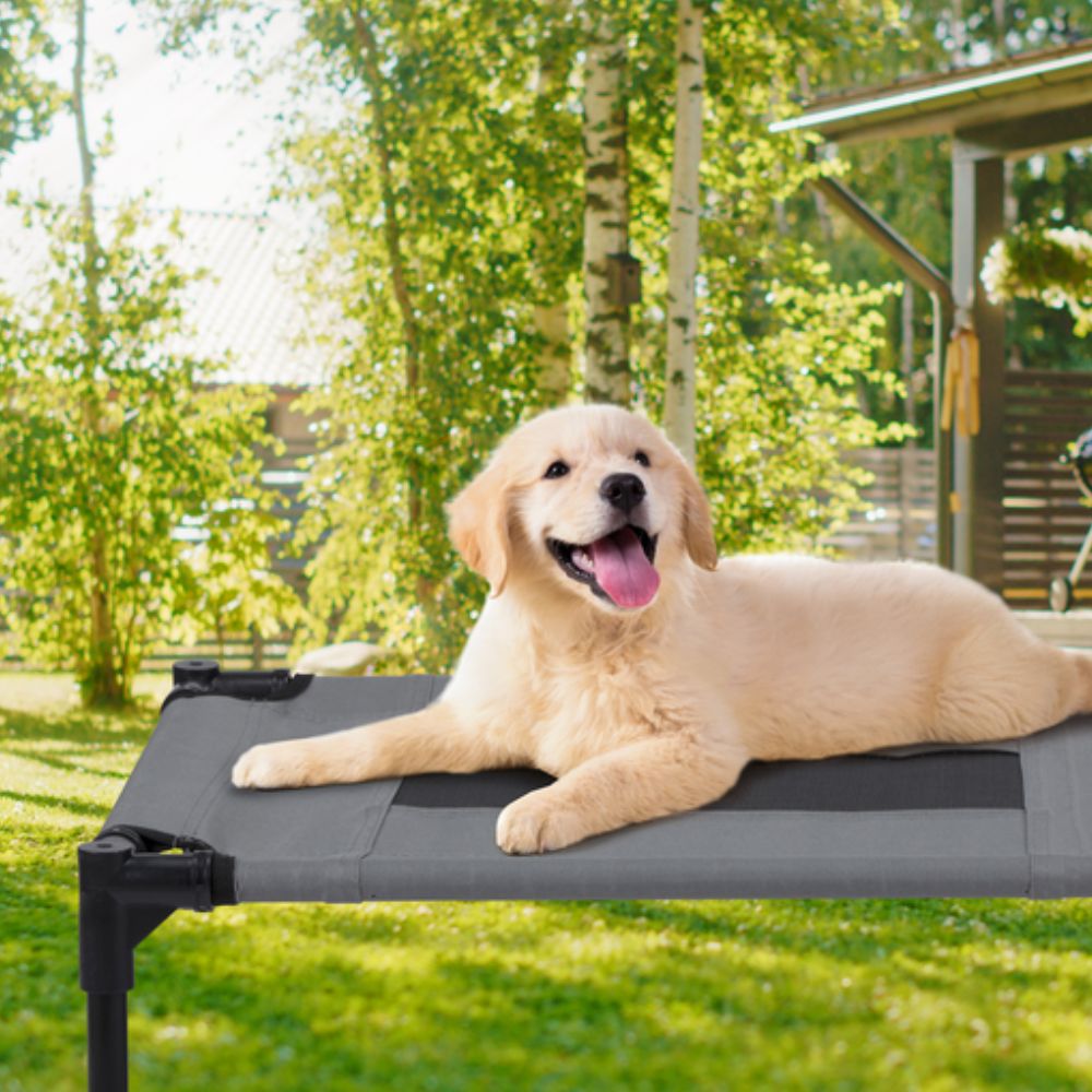 Pet Bed Elevated Small