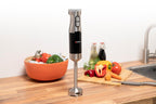 ALPINA STAAFMIXER 230V RVS 1000W - Tuincentrum Lopik