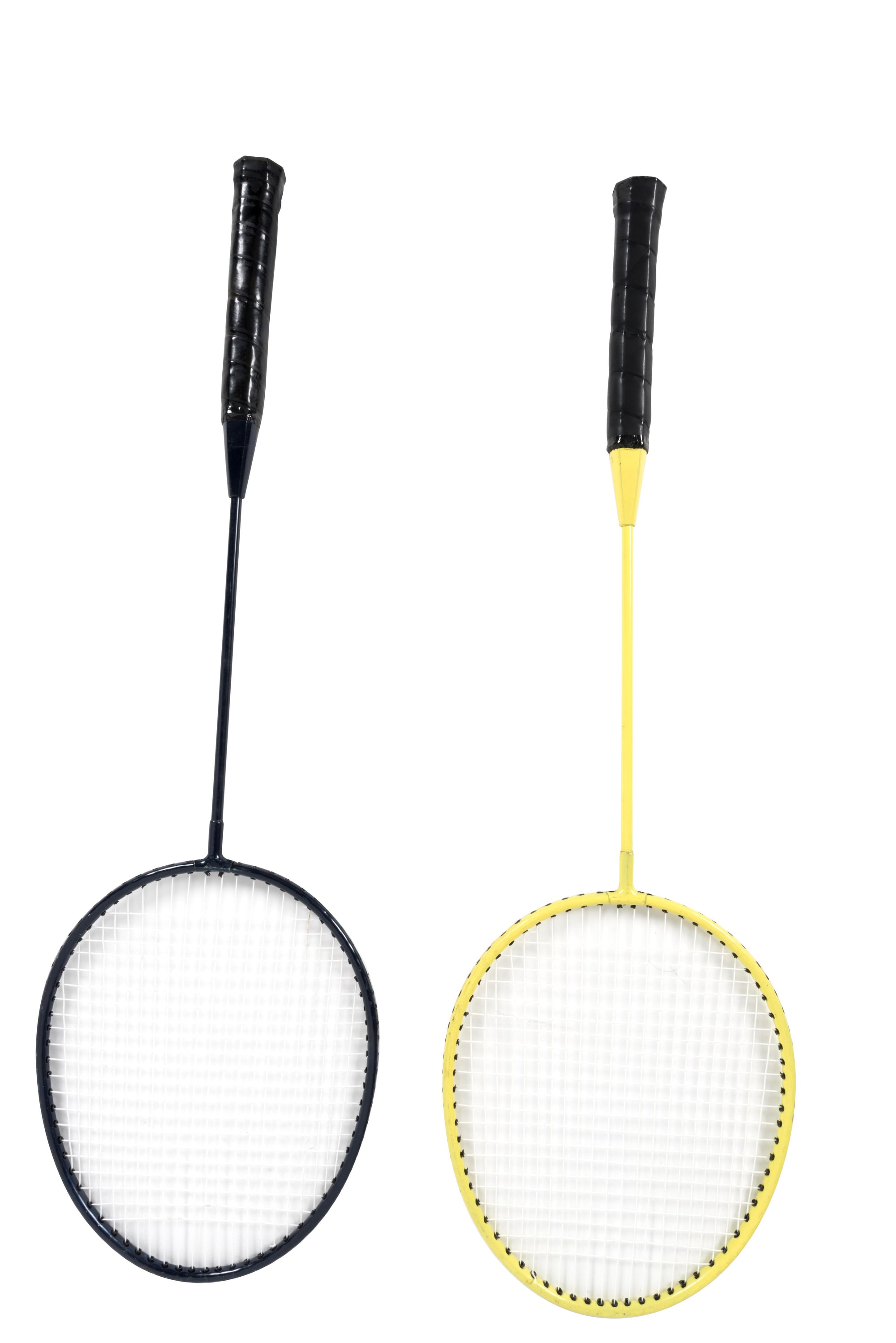 Volleyball & Badminton Set