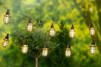 GRUNDIG SOLAR LICHTSNOER 10 LANTAARNS 3.8M LED - Tuincentrum Lopik