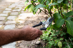 BLACK+DECKER TUINGEREEDSCHAPSET 4-DELIG - Tuincentrum Lopik
