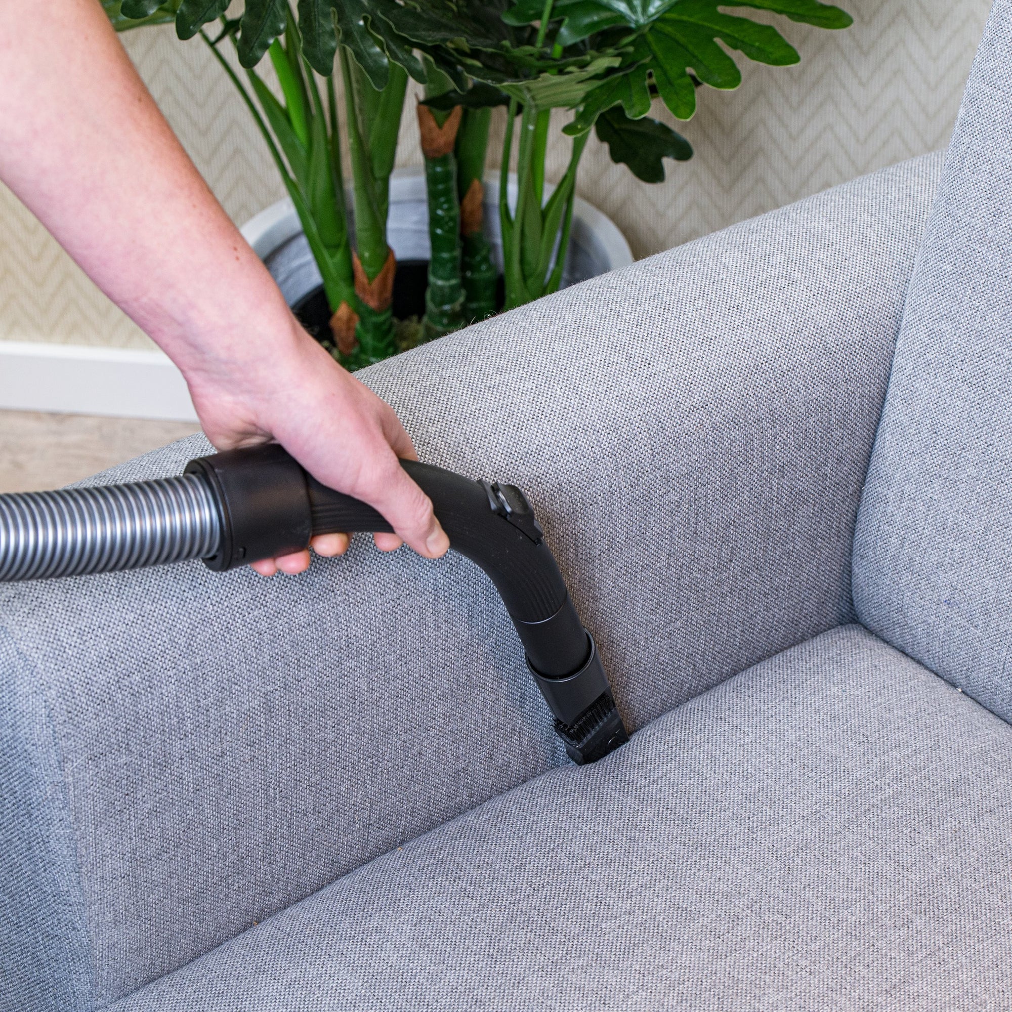 Vacuum Cleaner Bag 2,0L Dd2001