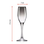 ALPINA CHAMPAGNEGLAZEN SMOKE SET 4 STUKS 180ML - Tuincentrum Lopik