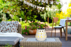 ARTI CASA SOLAR LANTARN WHITE 11CM - Tuincentrum Lopik