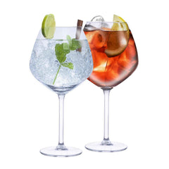 ALPINA GIN &TONIC GLAZEN 730 ML 4-DELIG - Tuincentrum Lopik