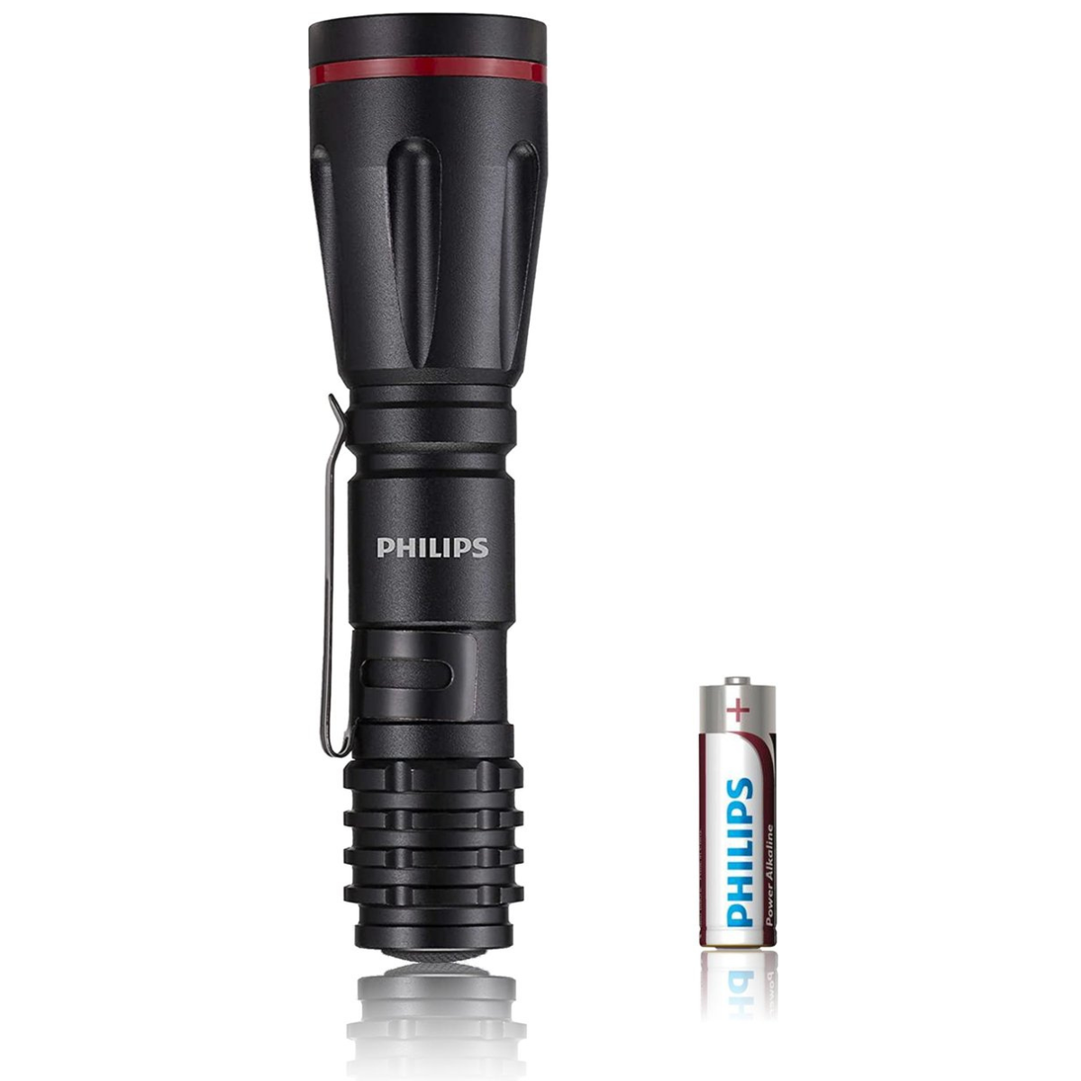 PHILIPS LED ZAKLAMP 160 LUMEN IPX4 ALUMINIUM 65M - Tuincentrum Lopik