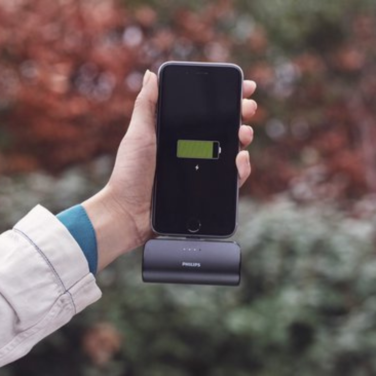 PHILIPS DLP2510C/03 POWERBANK 2500MAH USB-C DRAADLOOS COMPACT - Tuincentrum Lopik