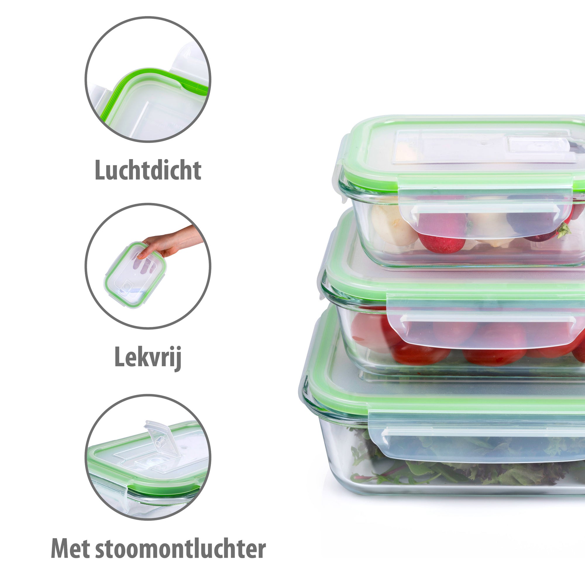 ALPINA GLAZEN VERSHOUDBAKJES SET 6-DELIG - Tuincentrum Lopik