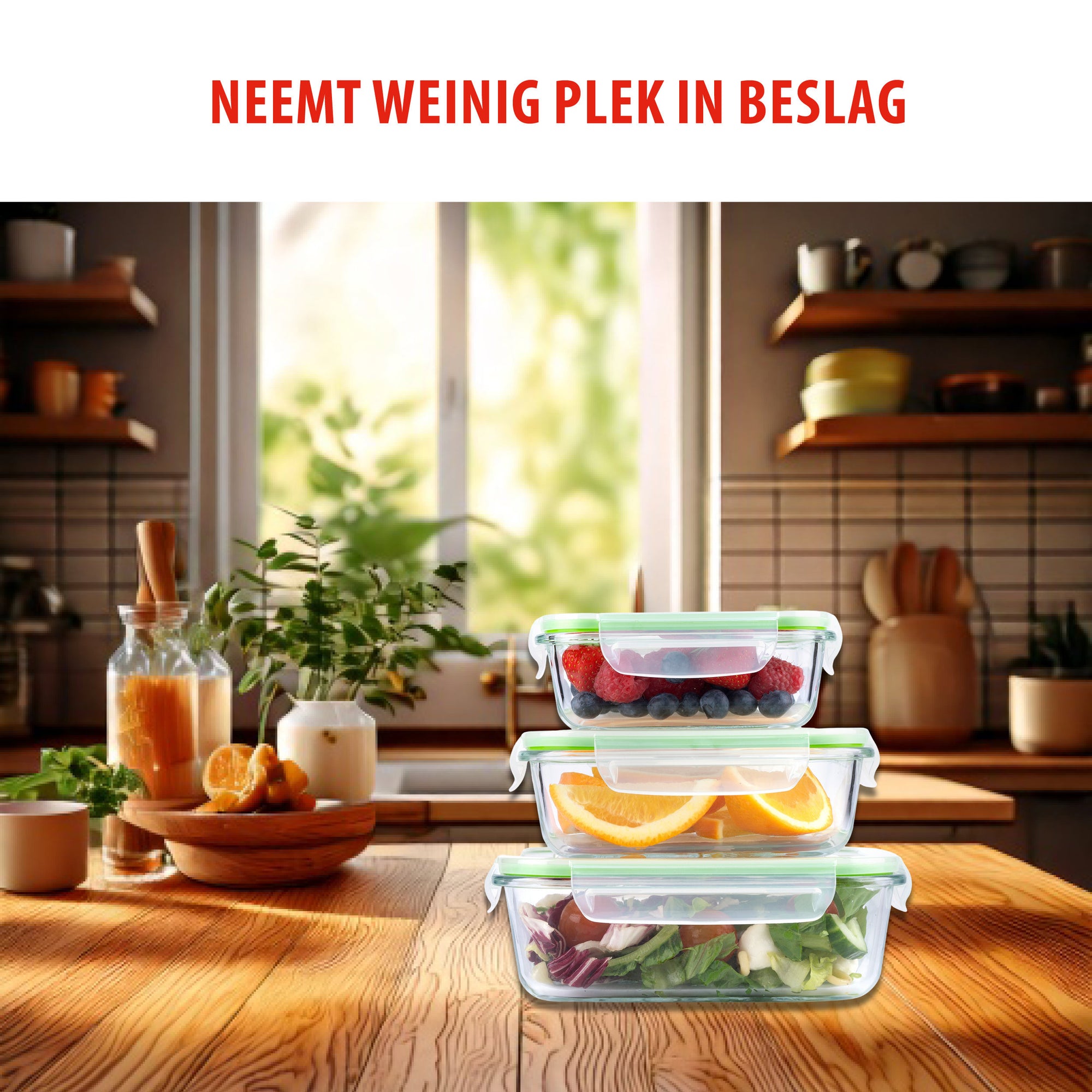 ALPINA GLAZEN VERSHOUDBAKJES SET 6-DELIG - Tuincentrum Lopik