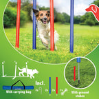 MAXXPRO HONDEN AGILITY SLALOM SET 60CM - Tuincentrum Lopik