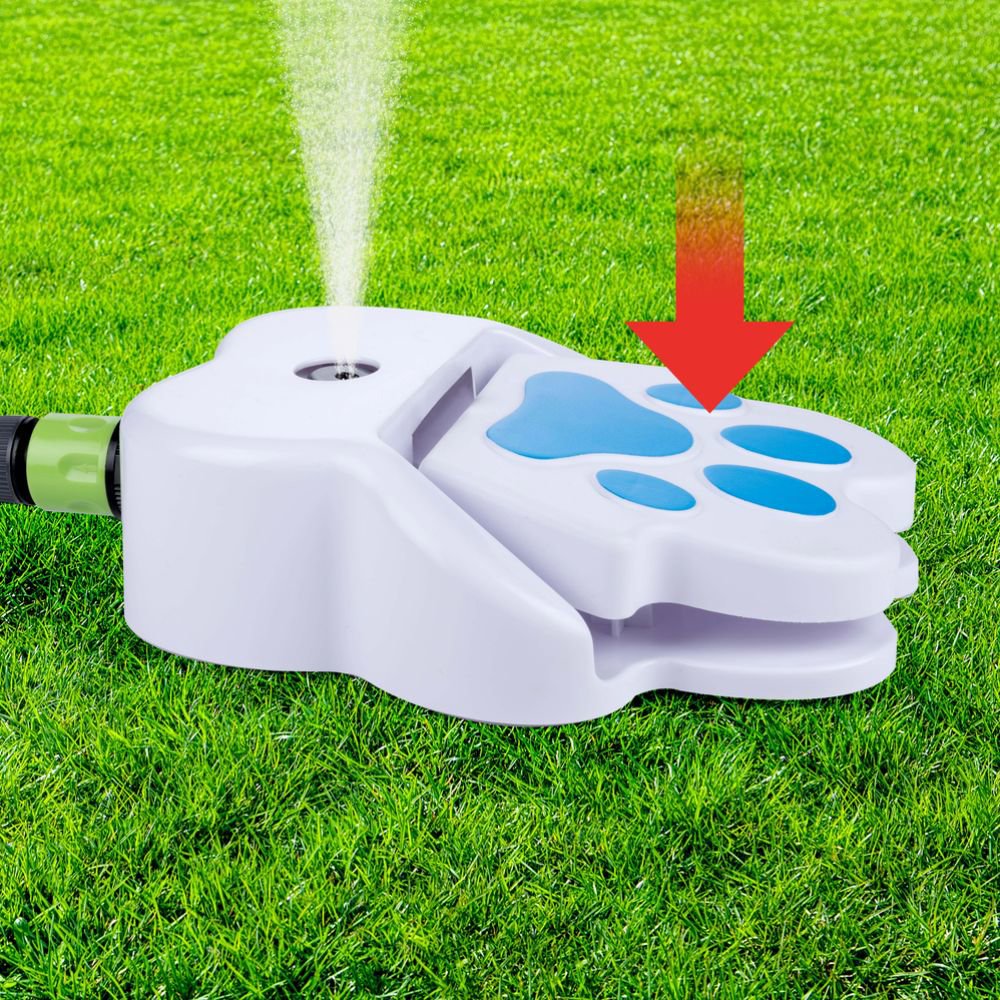 Drinking Fountain Dog