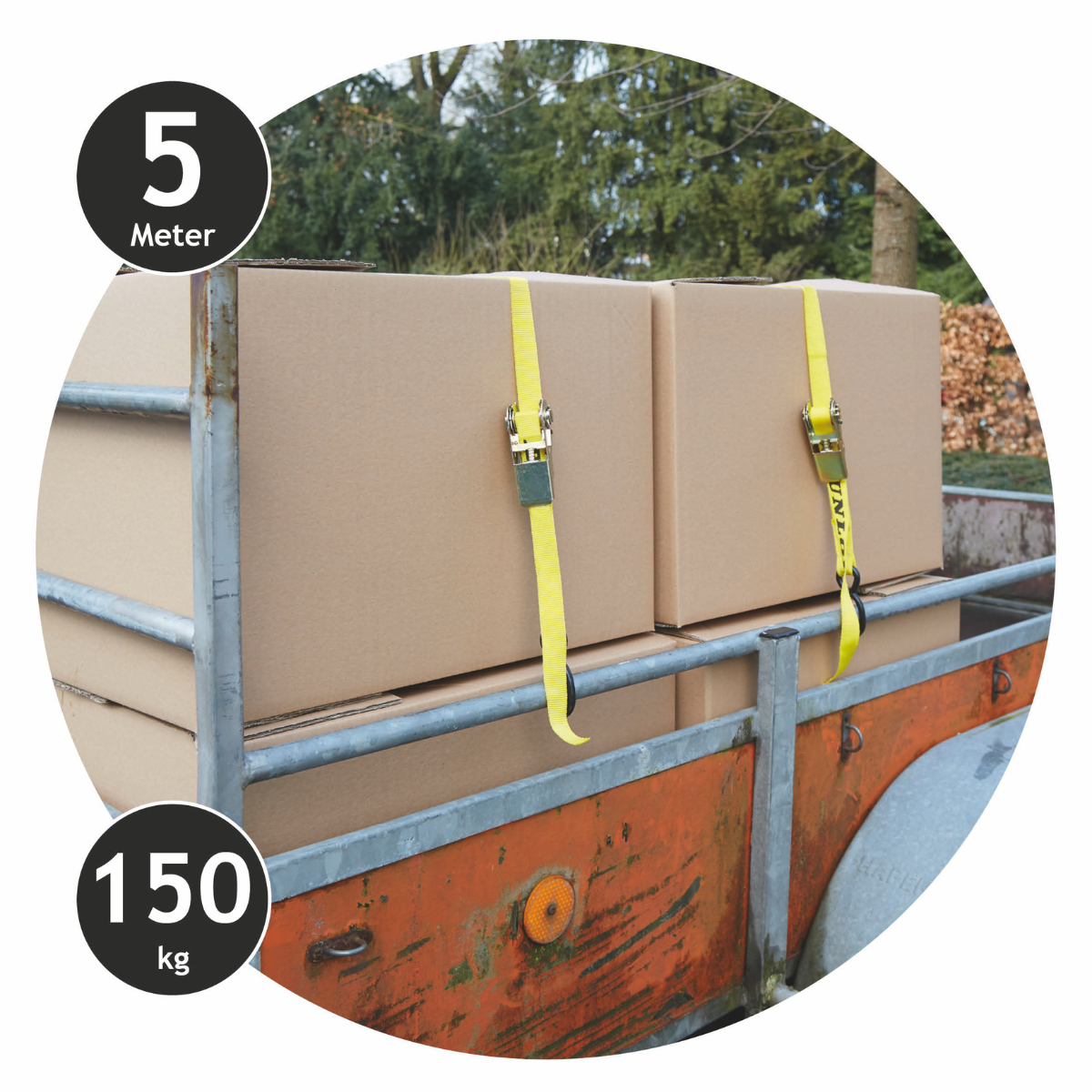 DUNLOP SPANBAND 5M MET RATEL 4 STUKS 150KG - Tuincentrum Lopik