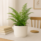 Plant Pot Stripe ⌀18X17Cm