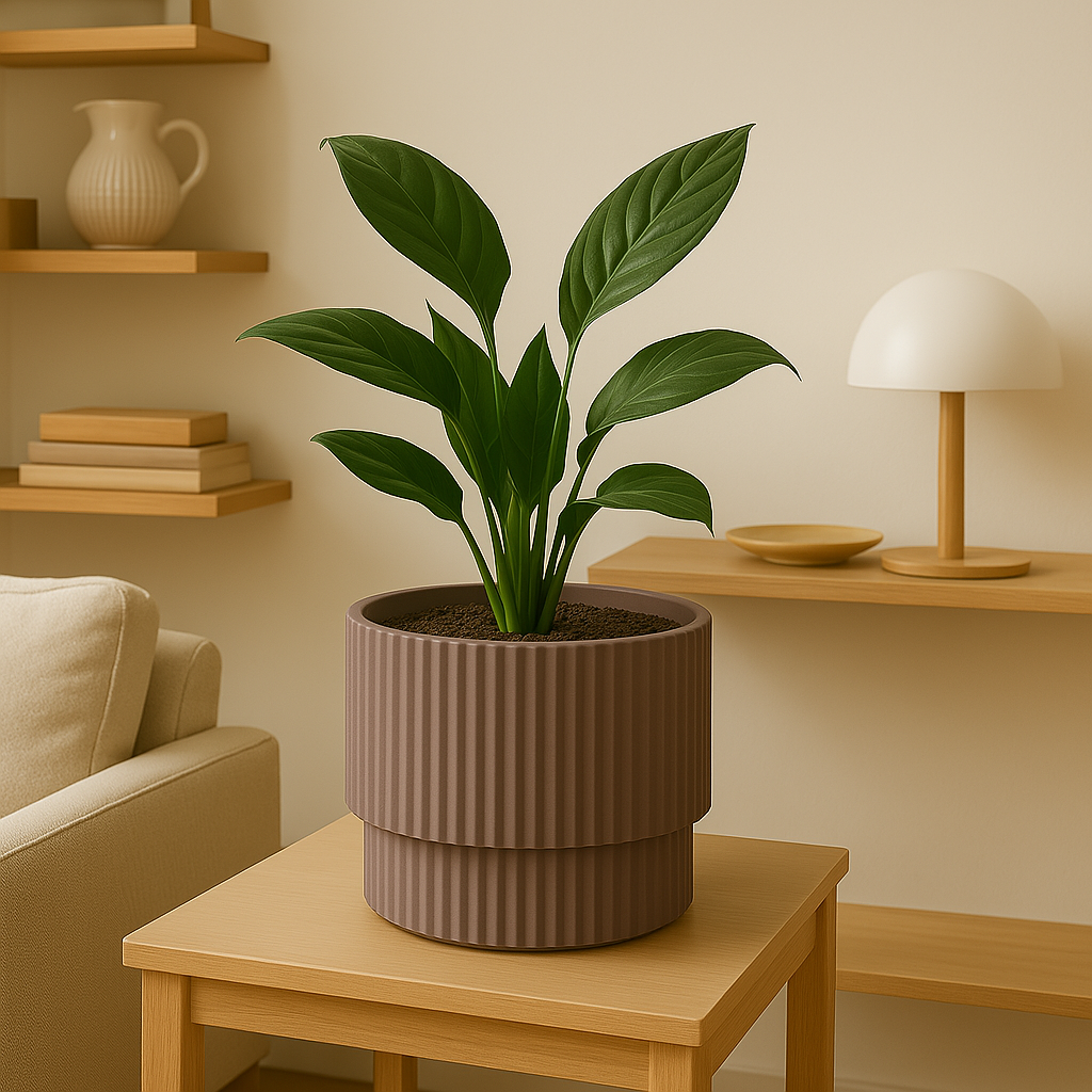 Pot Milly D30Cm Pink