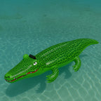 Ride-On Crocodile