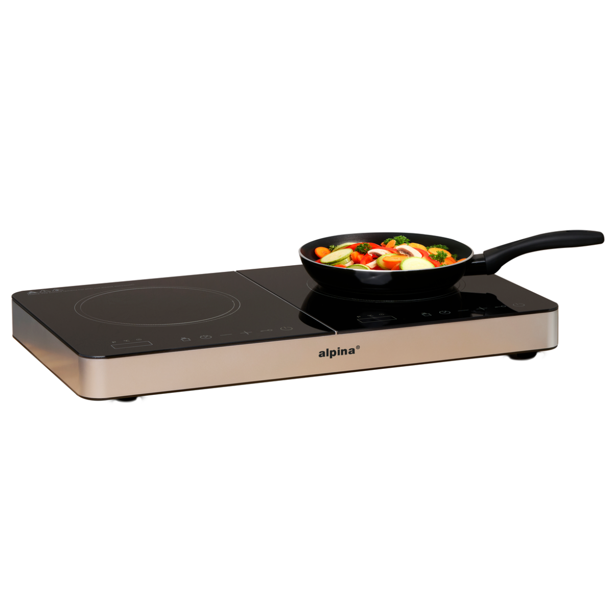 Induction Cooker Double