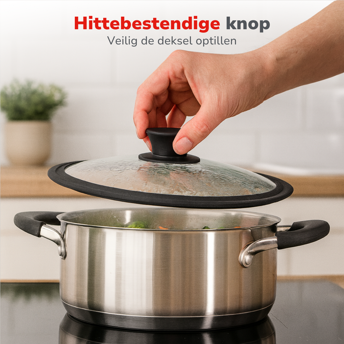 ALPINA DEKSEL 28CM - GLAZEN DEKSEL VOOR KOEKENPAN - Tuincentrum Lopik