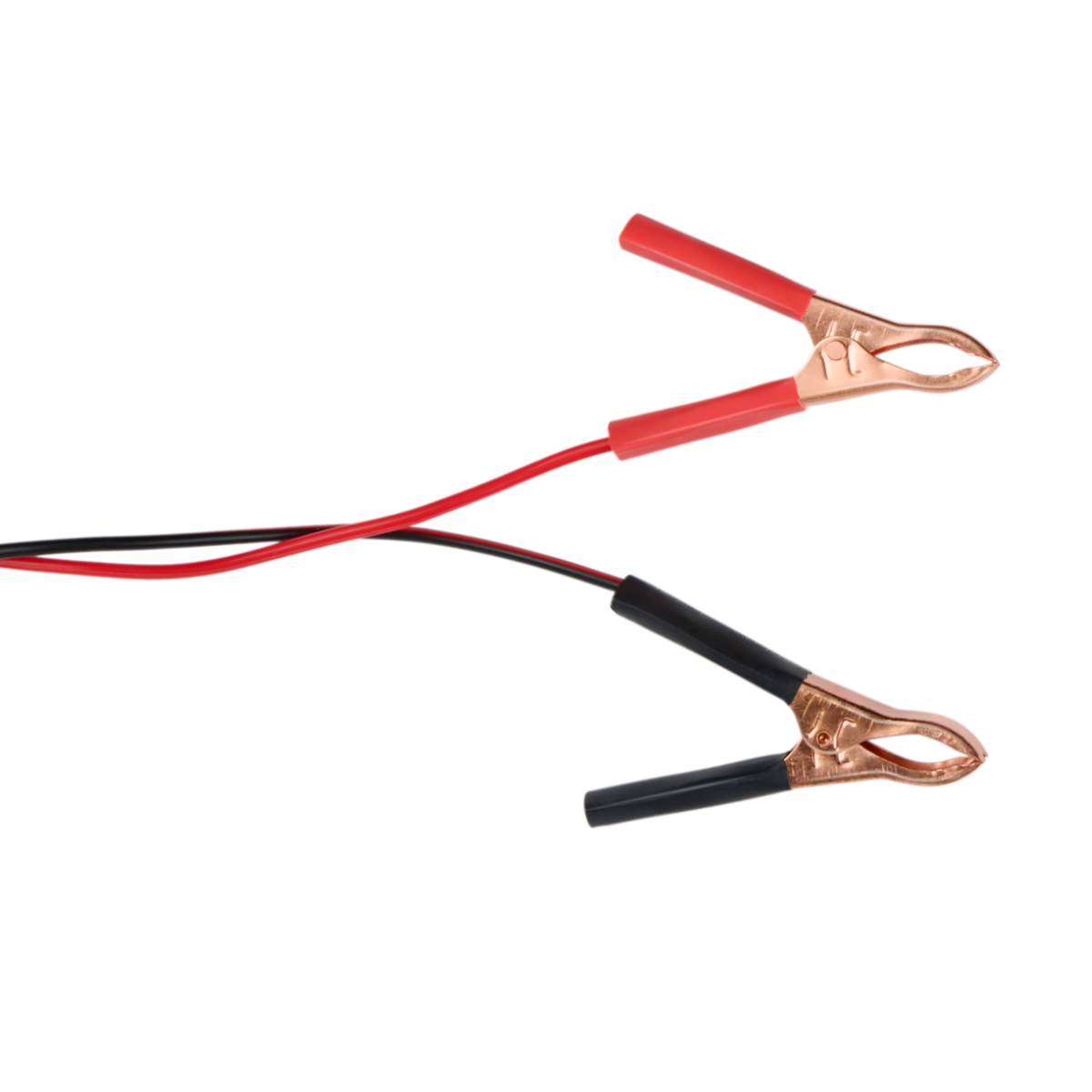 DUNLOP DRUPPELLADER 6V/12V 230V - Tuincentrum Lopik
