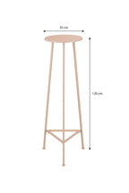 Adine Planttable L. Pink - H120Xd35Cm