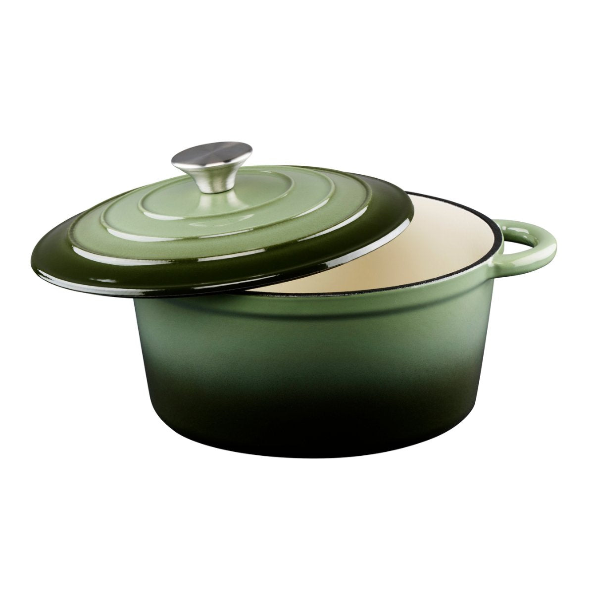 ALPINA GIETIJZEREN BRAADPAN 24CM GROEN - Tuincentrum Lopik