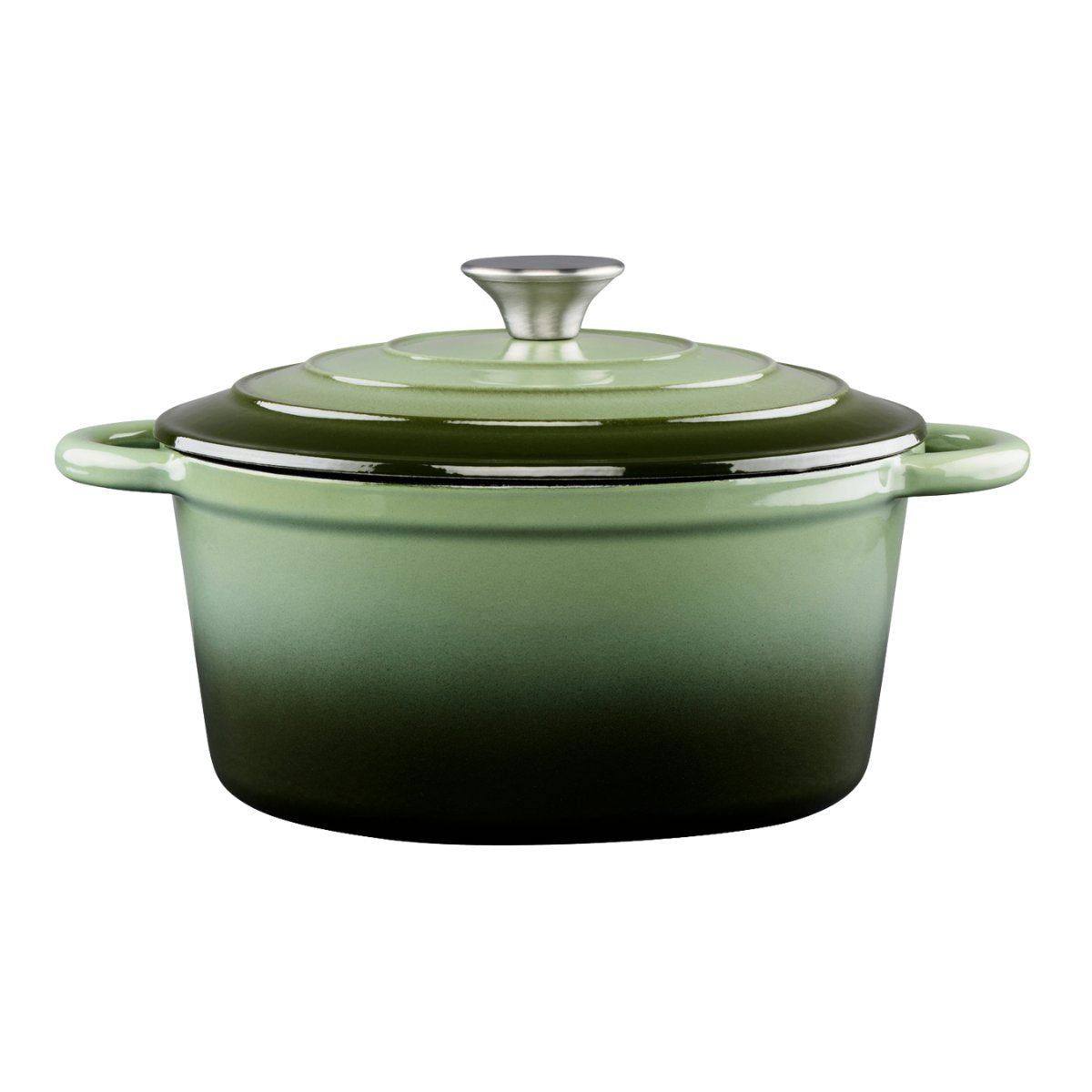 ALPINA GIETIJZEREN BRAADPAN 24CM GROEN - Tuincentrum Lopik