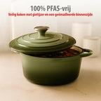 ALPINA GIETIJZEREN BRAADPAN 24CM GROEN - Tuincentrum Lopik