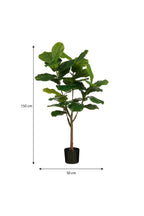 Ficus Lyrata In Pot Green Waterproof & Uv Resistant - H150Xd50Cm