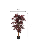 Maple Red In Plastic Pot - H150Xd80Cm