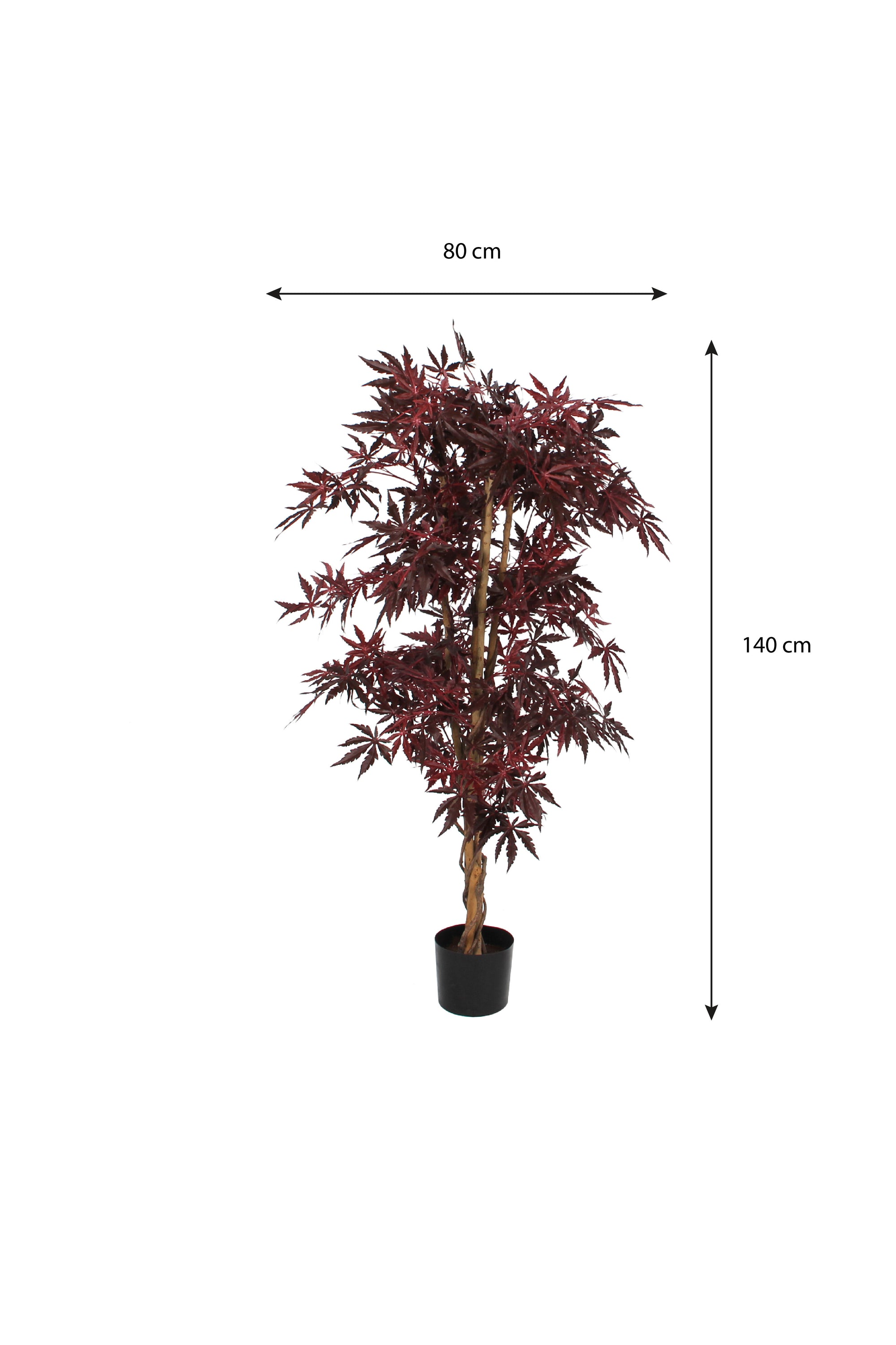 Maple Red In Plastic Pot - H150Xd80Cm