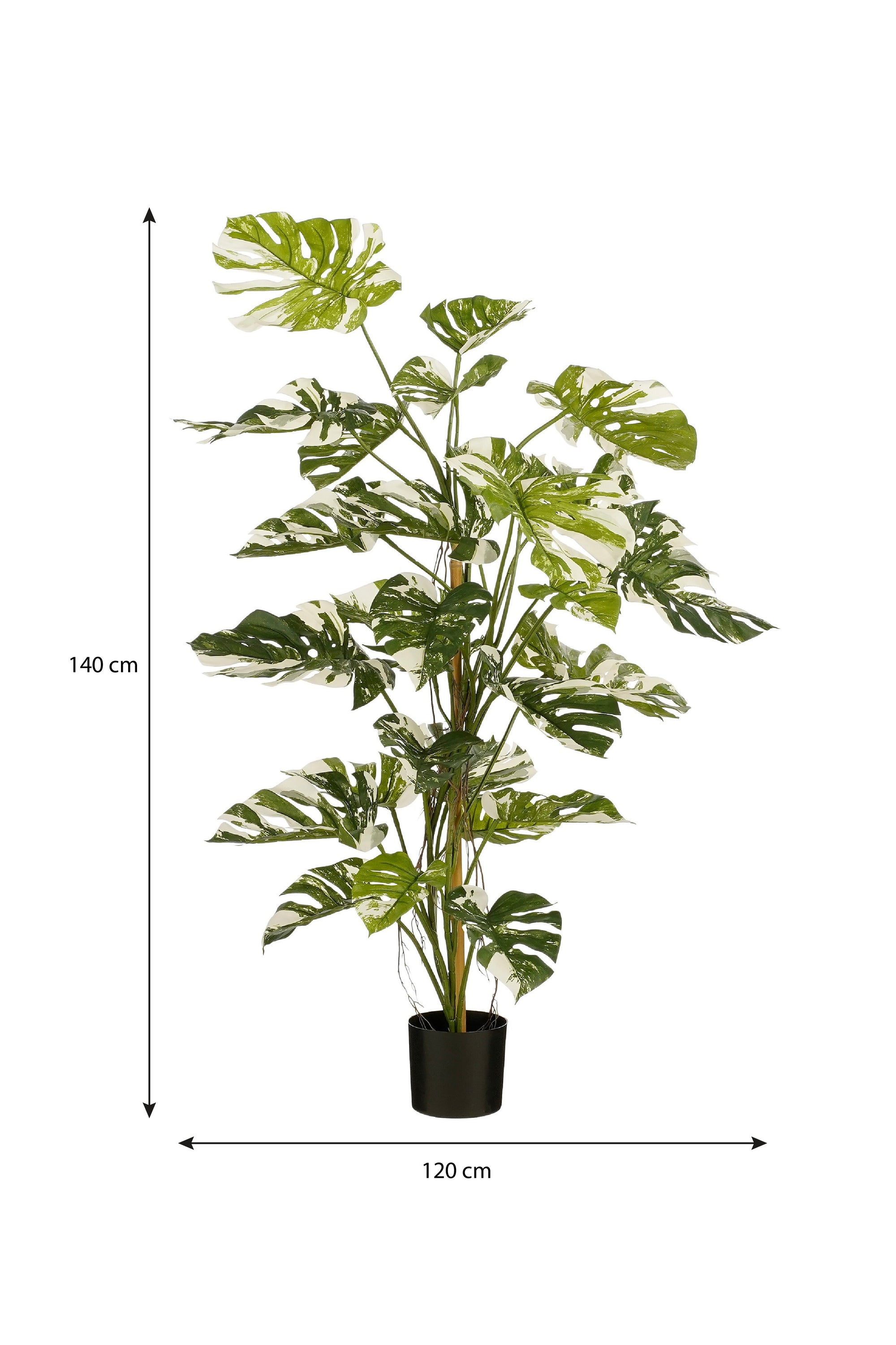 Monstera Tree Green - H140Xd120Cm