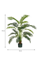 Areca Palm In Pot Green Waterproof & Uv Resistant - H134Xd50Cm