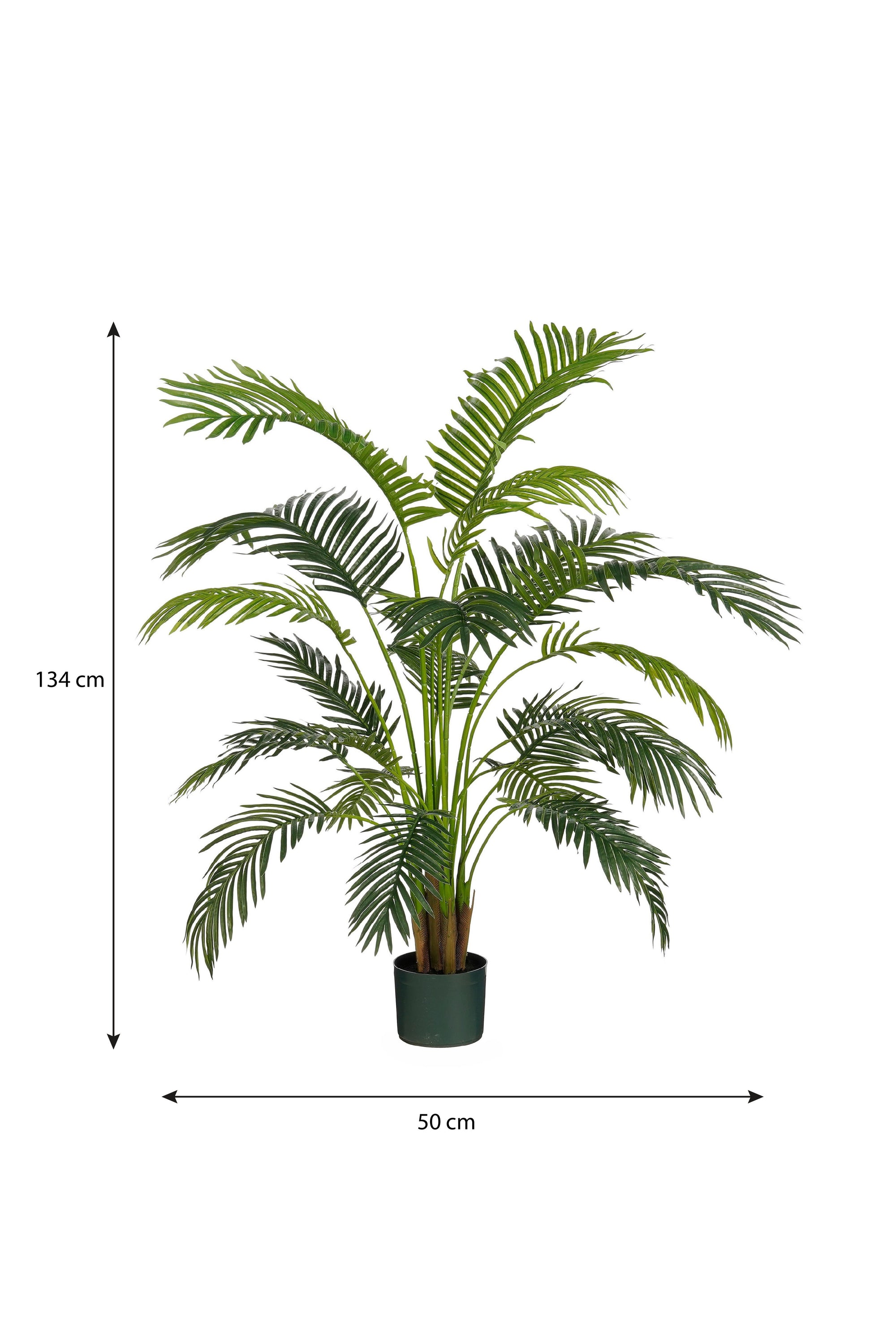 Areca Palm In Pot Green Waterproof & Uv Resistant - H134Xd50Cm