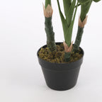 Monstera In Pot Green - H100Xd75Cm