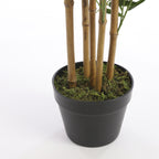 Bamboo In Pot Green - H155Xd90Cm