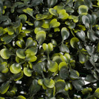 Boxwood Ball Green Waterproof & Uv Resistant - D28Cm
