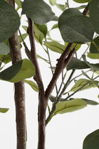 Eucalyptus Tree In Pot Green - H180Xd80Cm