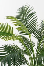Areca Palm In Pot Green Waterproof & Uv Resistant - H134Xd50Cm
