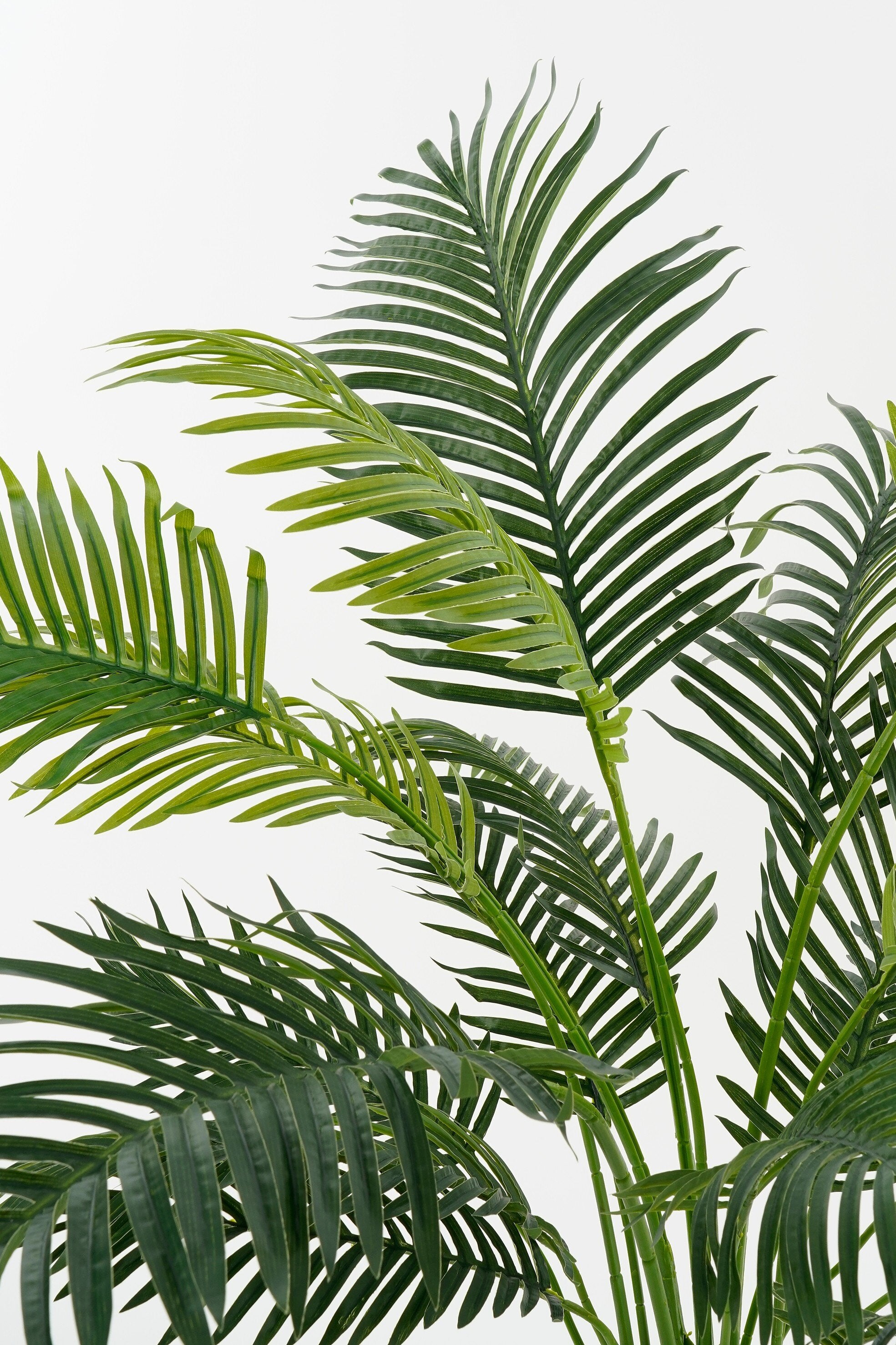 Areca Palm In Pot Green Waterproof & Uv Resistant - H134Xd50Cm
