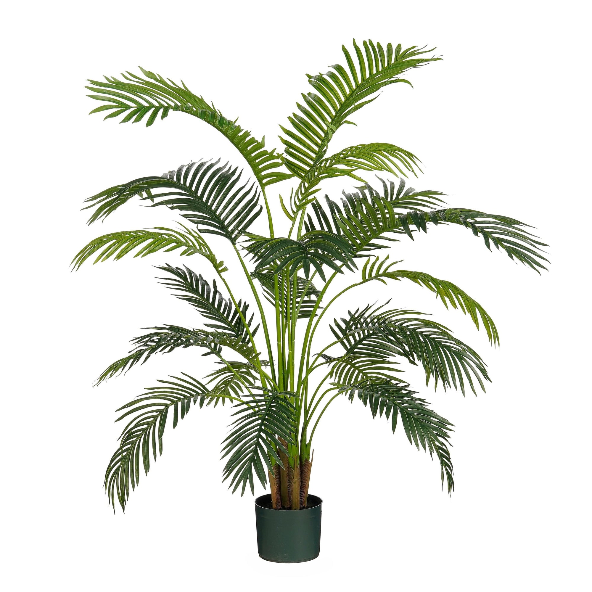 Areca Palm In Pot Green Waterproof & Uv Resistant - H134Xd50Cm