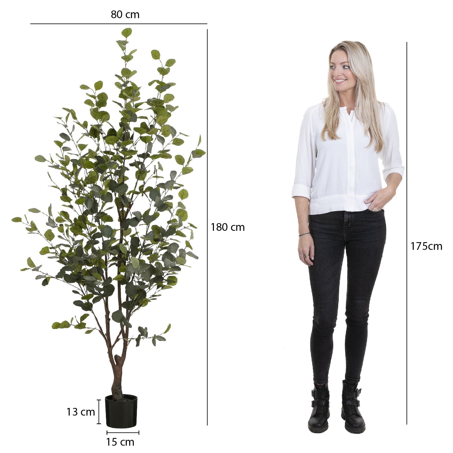 Eucalyptus Tree In Pot Green - H180Xd80Cm