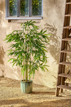 Bamboo In Pot Green Waterproof & Uv Resistant - H150Xd60Cm