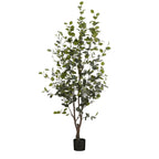 Eucalyptus Tree In Pot Green - H180Xd80Cm