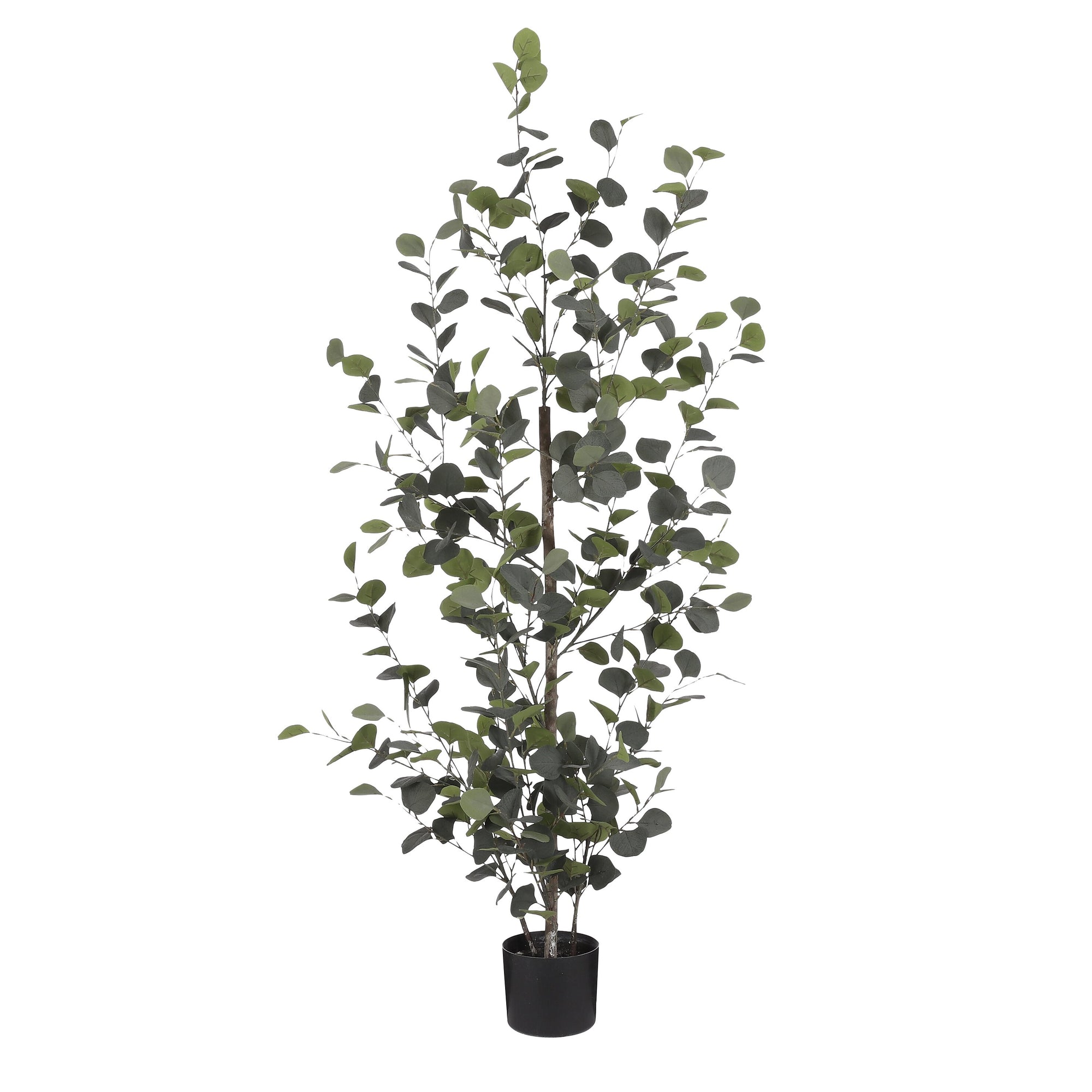 Eucalyptus In Pot Green - H150Xd30Cm