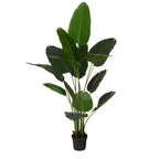 Banana Tree In Pot Green - H180Xd30Cm